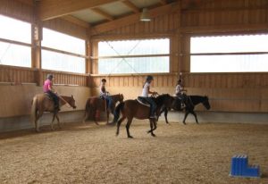 Horsemanship Kurs