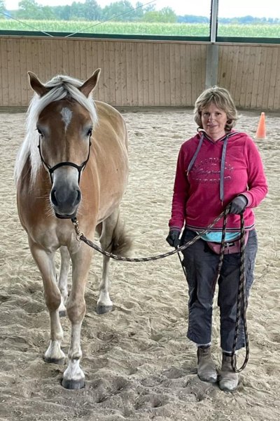 Horsemanship Academy Trainerin Beate Jeuther mit ihrem Haflinger Pferd stehen in der Reithalle und schauen frontal nach vorne.