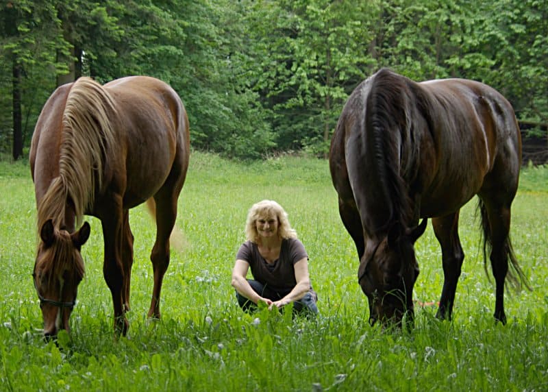 Horsemanship Training Ingrid hockt zwischen zwei braunen Pferden beim Grasen auf einer Wiese