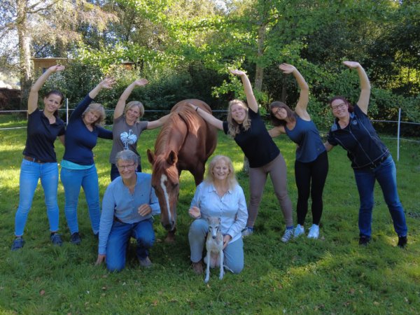 Horsemanship Trainer mit aufmerksamen Pferd