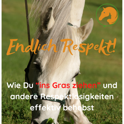 Weißes Pferd frisst Gras. Cover des Online-Kurses: Endlich Respekt.