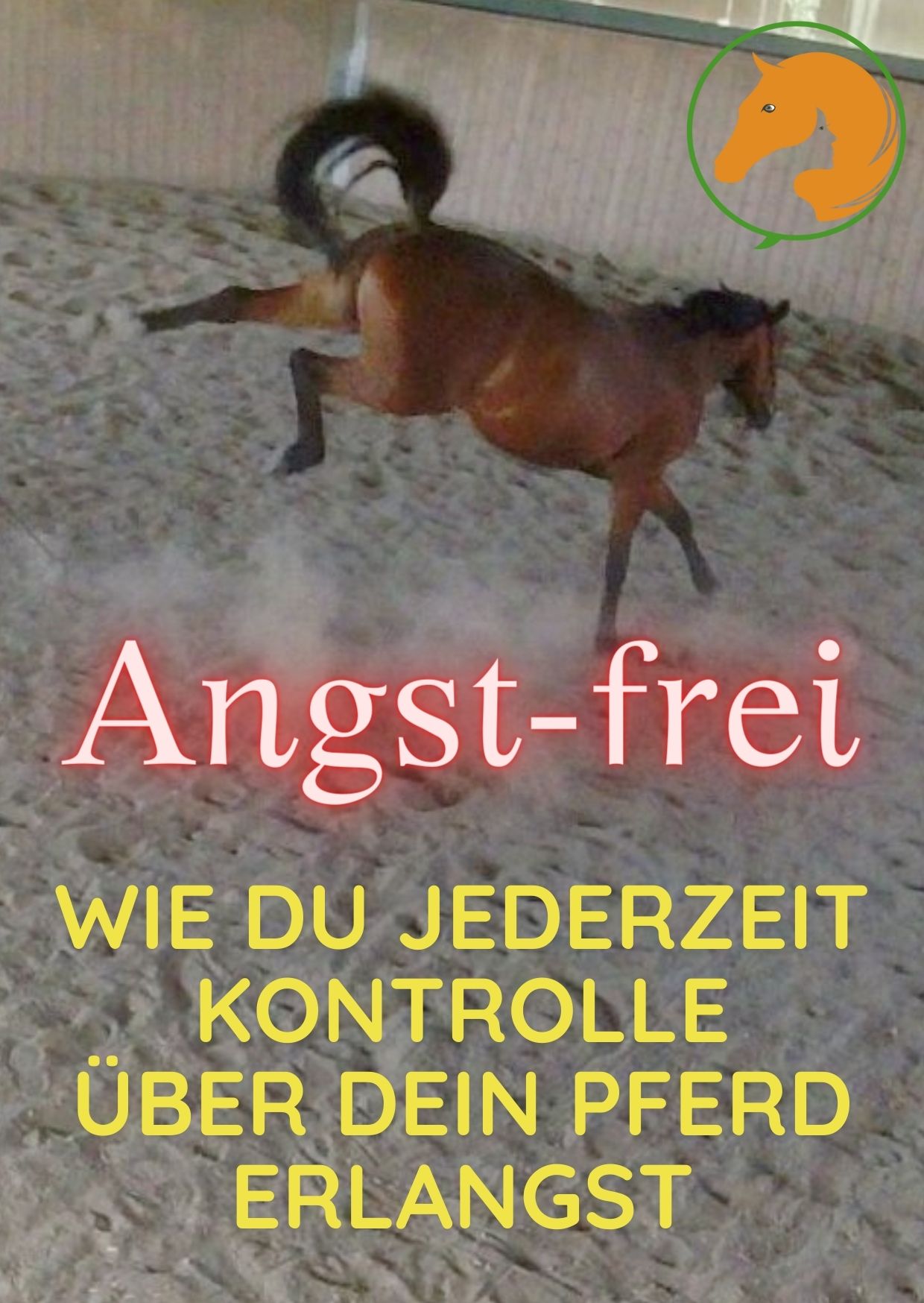 Weißes Pferd frisst Gras. Cover des Online-Kurses: Endlich Respekt.