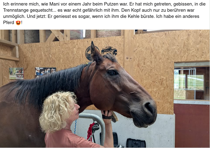 horsemanship-academy-pferdeliebe Eine blonde Frau bürstet ein braunes Pferd am Kinn.