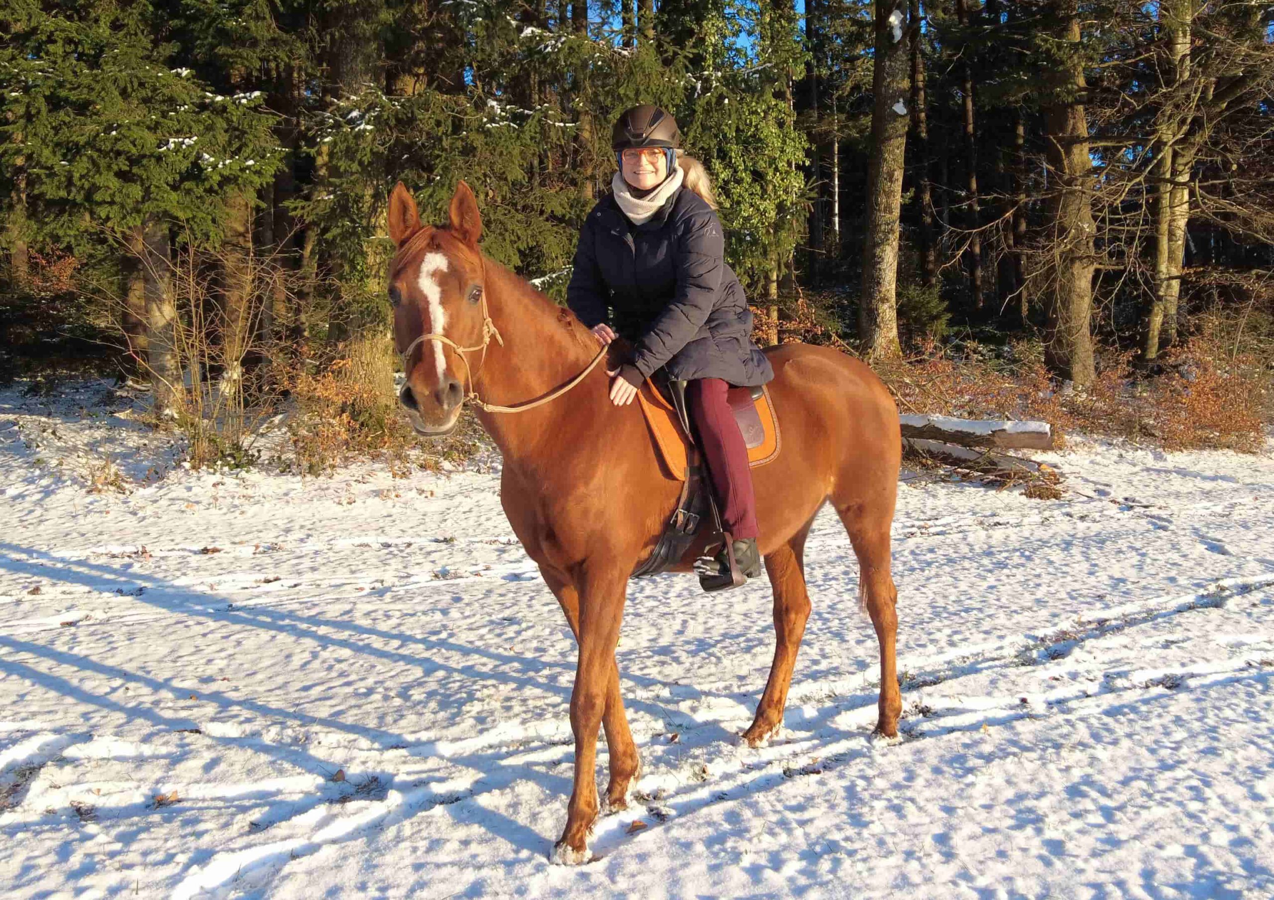 Ingrid Meister reitet auf Araber-Pferd Marciana im Winterald